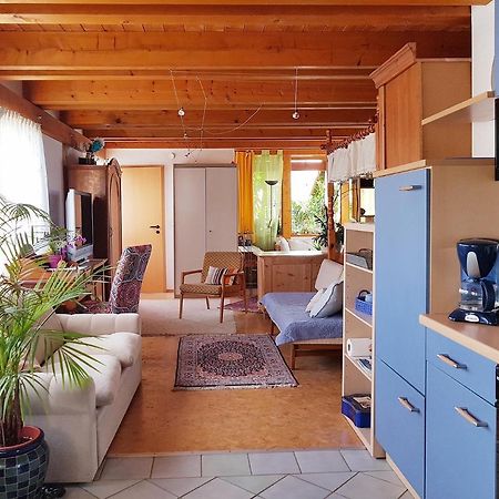 Zentrale Ferienwohnung Auf Dem Schoenen Hunsrueck Halsenbach Екстер'єр фото