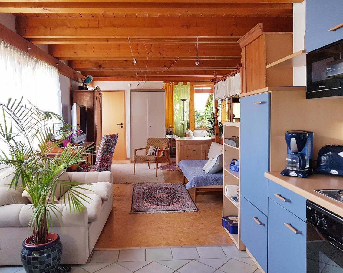 Zentrale Ferienwohnung Auf Dem Schoenen Hunsrueck Halsenbach Екстер'єр фото