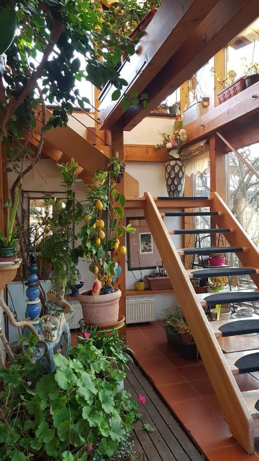 Zentrale Ferienwohnung Auf Dem Schoenen Hunsrueck Halsenbach Екстер'єр фото
