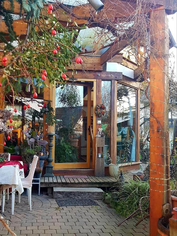 Zentrale Ferienwohnung Auf Dem Schoenen Hunsrueck Halsenbach Екстер'єр фото